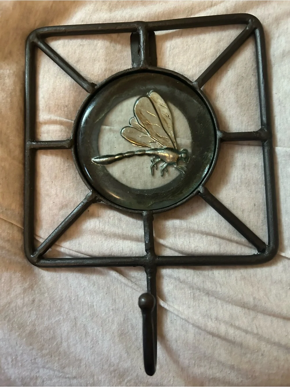 Rustic Dragonfly Print Under Glass Cast Iron Wall Hook Accent Foyer Garden Bath